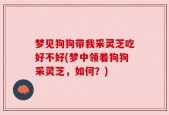 梦见狗狗带我采灵芝吃好不好(梦中领着狗狗采灵芝，如何？)