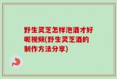 野生灵芝怎样泡酒才好呢视频(野生灵芝酒的制作方法分享)