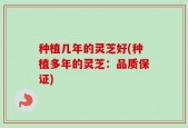 种植几年的灵芝好(种植多年的灵芝：品质保证)