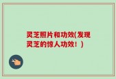 灵芝照片和功效(发现灵芝的惊人功效！)