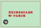 灵芝三萜又叫什么名称呢？什么是三萜