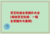 灵芝街道全景图片大全(探秘灵芝街道：一幅全景图片大集锦)