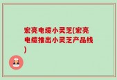 宏亮电缆小灵芝(宏亮电缆推出小灵芝产品线)