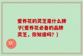 爱养花的灵芝是什么牌子(爱养花必备的品牌灵芝，你知道吗？)