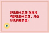 野生格木灵芝(发现稀有野生格木灵芝，具备珍贵药用价值)