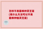 怎样不用菌棒种灵芝苗(用什么方法可以不用菌棒种植灵芝苗)