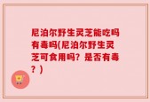 尼泊尔野生灵芝能吃吗有毒吗(尼泊尔野生灵芝可食用吗？是否有毒？)