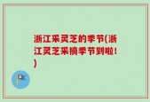 浙江采灵芝的季节(浙江灵芝采摘季节到啦！)