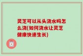 灵芝可以从头浇水吗怎么浇(如何浇水让灵芝健康快速生长)