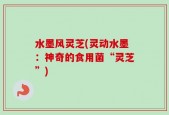 水墨风灵芝(灵动水墨：神奇的食用菌“灵芝”)