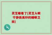 灵芝睡着了(灵芝入眠 宁静而美妙的睡眠之旅)