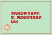 漂亮灵芝草(美丽的灵芝：天然草药对健康的益处)