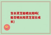 生长灵芝能晒太阳吗(能否晒太阳灵芝茁壮成长)