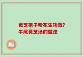 灵芝孢子粉花生功效？牛尾灵芝汤的做法