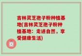 吉林灵芝孢子粉种植基地(吉林灵芝孢子粉种植基地：走进自然，享受健康生活)