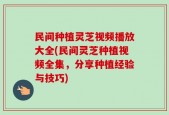 民间种植灵芝视频播放大全(民间灵芝种植视频全集，分享种植经验与技巧)