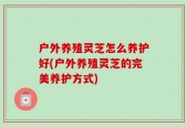户外养殖灵芝怎么养护好(户外养殖灵芝的完美养护方式)