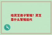 培灵芝孢子繁殖？灵芝靠什么繁殖后代