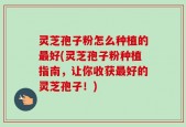 灵芝孢子粉怎么种植的最好(灵芝孢子粉种植指南，让你收获最好的灵芝孢子！)