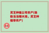 灵芝种植公司农户(稳稳当当赚大钱，灵芝种植带农户)