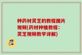 种药材灵芝的教程图片视频(药材种植教程：灵芝视频教学详解)