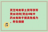 灵芝鸡骨草土茯苓茯苓煲水功效(煲这4味中药水有助于提高免疫力，养生保健