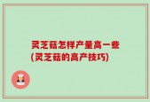 灵芝菇怎样产量高一些(灵芝菇的高产技巧)