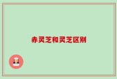 赤灵芝和灵芝区别
