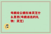 母鹿给公鹿衔来灵芝什么意思(母鹿送出的礼物：灵芝)