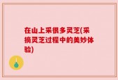 在山上采很多灵芝(采摘灵芝过程中的美妙体验)