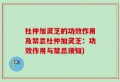 杜仲加灵芝的功效作用及禁忌杜仲加灵芝：功效作用与禁忌须知)