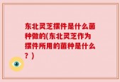东北灵芝摆件是什么菌种做的(东北灵芝作为摆件所用的菌种是什么？)