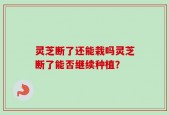 灵芝断了还能栽吗灵芝断了能否继续种植？