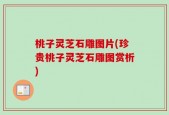 桃子灵芝石雕图片(珍贵桃子灵芝石雕图赏析)