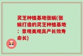 灵芝种植基地张娟(张娟打造的灵芝种植基地：景观美观高产长效寿命长)
