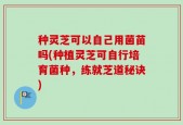 种灵芝可以自己用菌苗吗(种植灵芝可自行培育菌种，练就芝道秘诀)