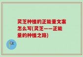灵芝种植的正能量文案怎么写(灵芝——正能量的种植之路)