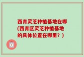 西青灵芝种植基地在哪(西青区灵芝种植基地的具体位置在哪里？)