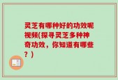 灵芝有哪种好的功效呢视频(探寻灵芝多种神奇功效，你知道有哪些？)