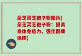 朵芝灵芝孢子粉图片(朵芝灵芝孢子粉：提高身体免疫力，强化健康保障)