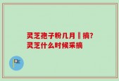 灵芝孢子粉几月釆摘？灵芝什么时候采摘