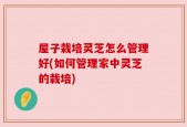 屋子栽培灵芝怎么管理好(如何管理家中灵芝的栽培)