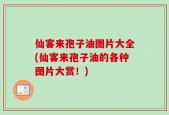 仙客来孢子油图片大全(仙客来孢子油的各种图片大赏！)