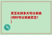 灵芝长到多大可以采摘(何时可以采摘灵芝？)