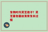 生物时代灵芝孢子？灵芝菌包菌丝发育生长过程