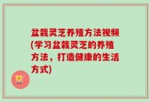 盆栽灵芝养殖方法视频(学习盆栽灵芝的养殖方法，打造健康的生活方式)