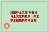 刘玉婷金灵芝(刘玉婷与金灵芝的故事：探索草本植物的奇妙世界)