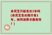 赤灵芝只能生长1年吗(赤灵芝生长期只有1年，如何消费才最有效？)