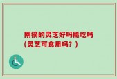 刚摘的灵芝好吗能吃吗(灵芝可食用吗？)