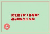 灵芝孢子粉工作原理？孢子粉是怎么来的